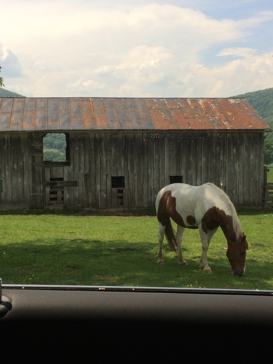 Back to the beginning. A horse grazes. Vanderpool gap visible through window in barn.